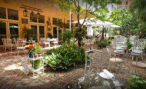 Mother's day miami peacock garden