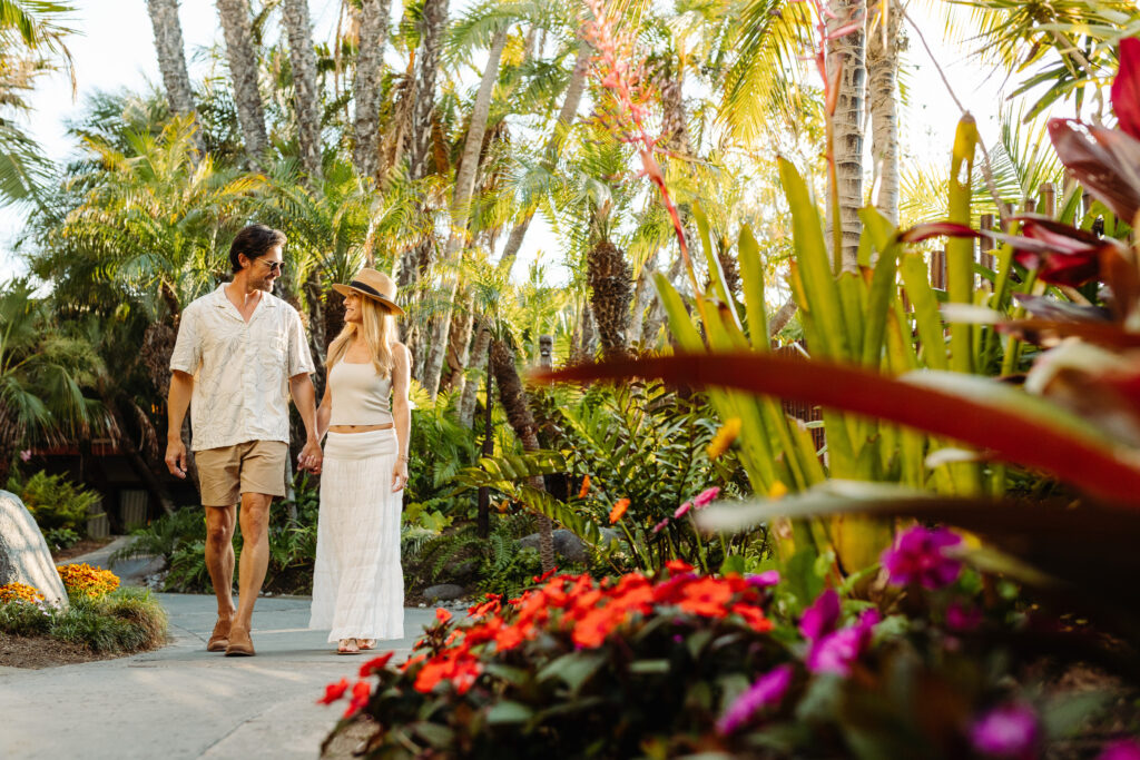 Catamaran-Resort-Hotel-and-Spa